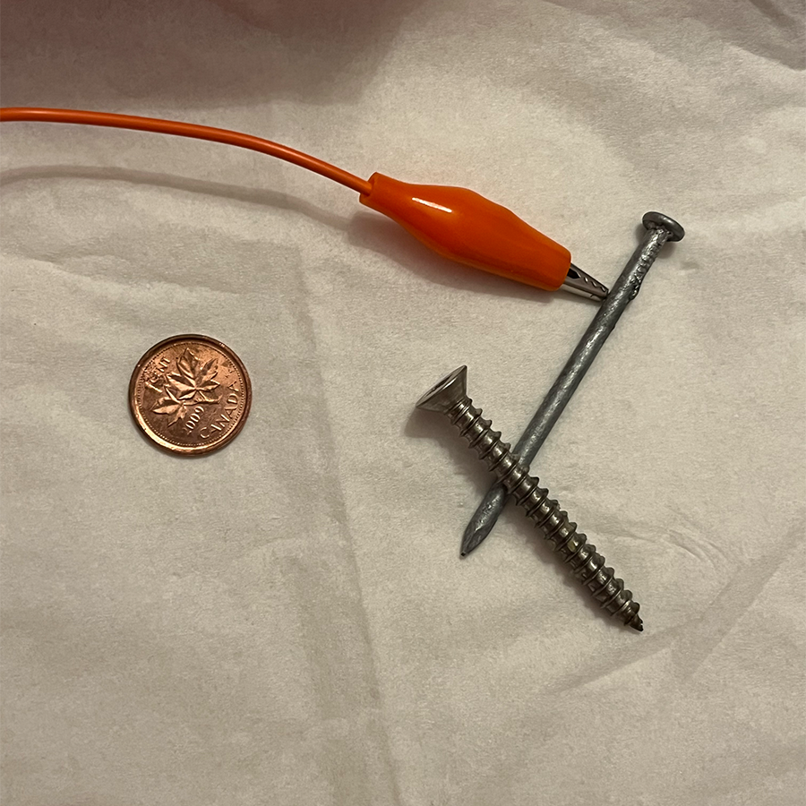 The materials I used was a copper penny, a nail, and Makey Makey clips to connect them