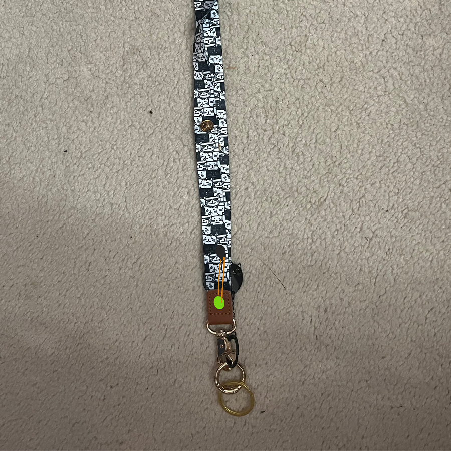 Adding a light onto a lanyard to make it more fashionable